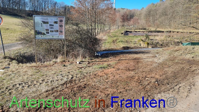 © Artenschutz in Franken® Bild zum Eintrag (1065440-160)