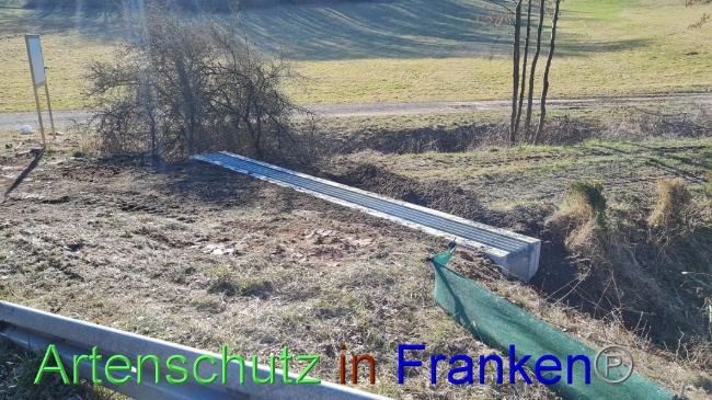 © Artenschutz in Franken® Bild zum Eintrag (1065441-160)