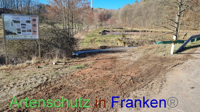 © Artenschutz in Franken® Bild zum Eintrag (1065442-160)