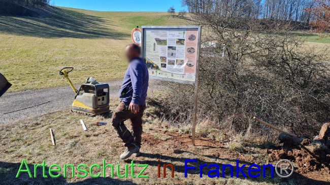© Artenschutz in Franken® Bild zum Eintrag (1065443-160)