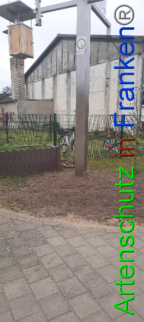 © Artenschutz in Franken® Bild zum Eintrag (1065635-160)