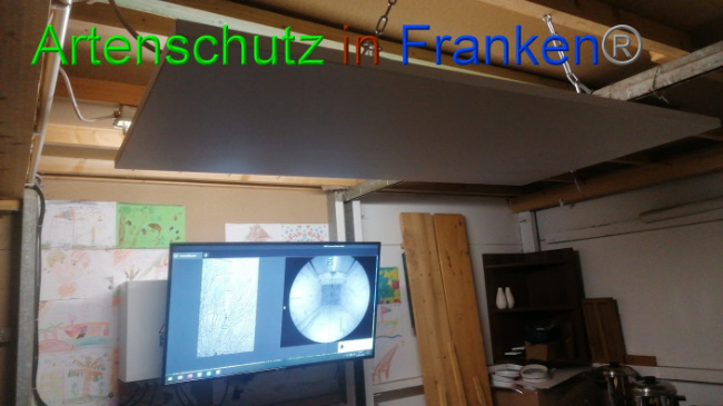 © Artenschutz in Franken® Bild zum Eintrag (1065643-160)
