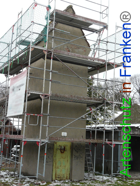 © Artenschutz in Franken® / Oberschmidt Bild zum Eintrag (1065667-160)