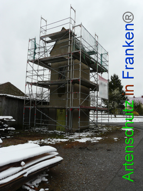 © Artenschutz in Franken® / Oberschmidt Bild zum Eintrag (1065668-160)