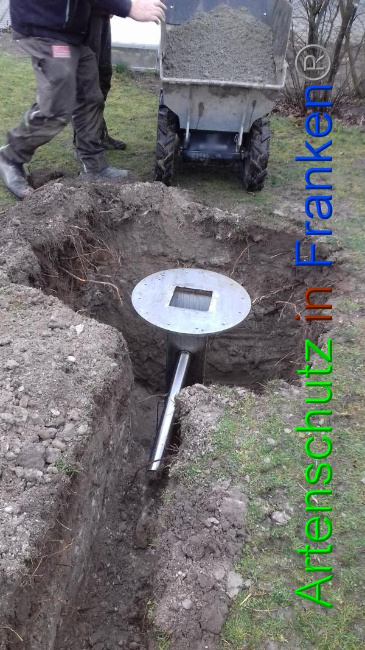 © Artenschutz in Franken® Bild zum Eintrag (1065697-160)