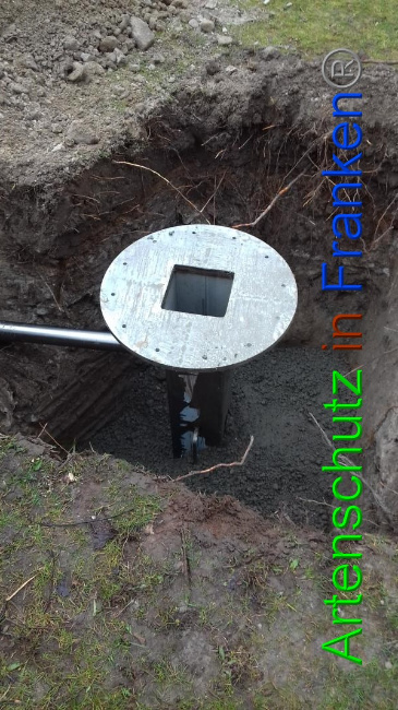 © Artenschutz in Franken® Bild zum Eintrag (1065698-160)