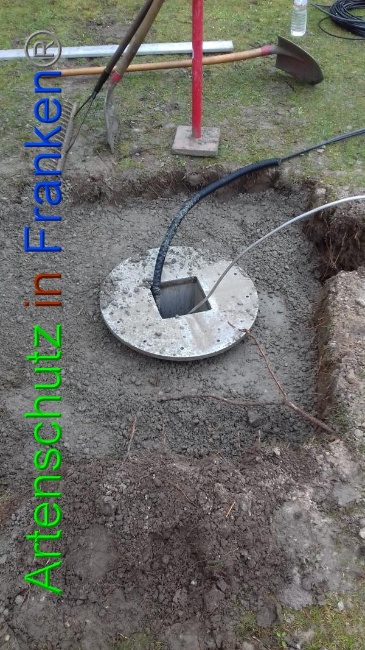 © Artenschutz in Franken® Bild zum Eintrag (1065702-160)