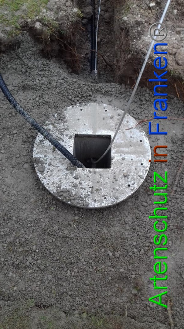 © Artenschutz in Franken® Bild zum Eintrag (1065703-160)