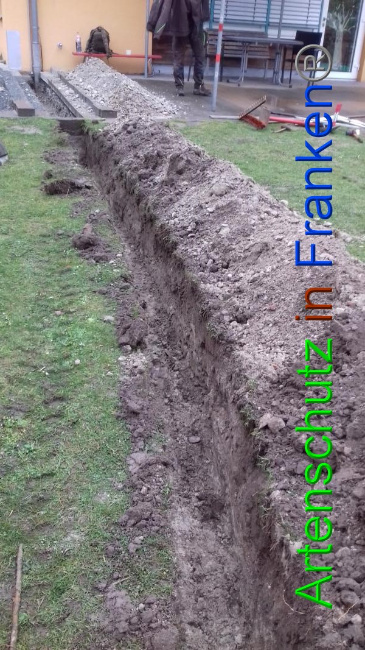 Bild zum Eintrag (1065709-160)