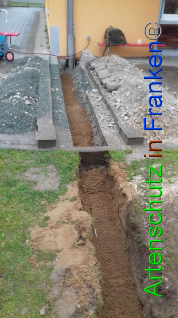 © Artenschutz in Franken® Bild zum Eintrag (1065730-160)