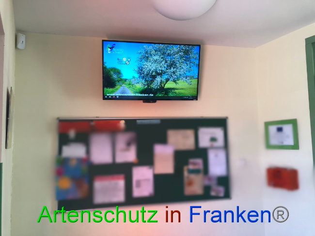 © Artenschutz in Franken® Bild zum Eintrag (1065762-160)