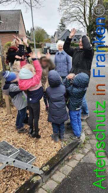 © Artenschutz in Franken® / Sonfeld Bild zum Eintrag (1065791-160)