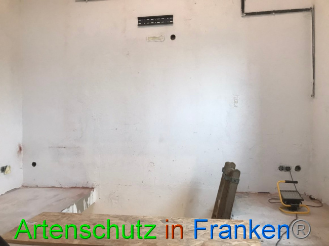 © Artenschutz in Franken® Bild zum Eintrag (1065817-160)
