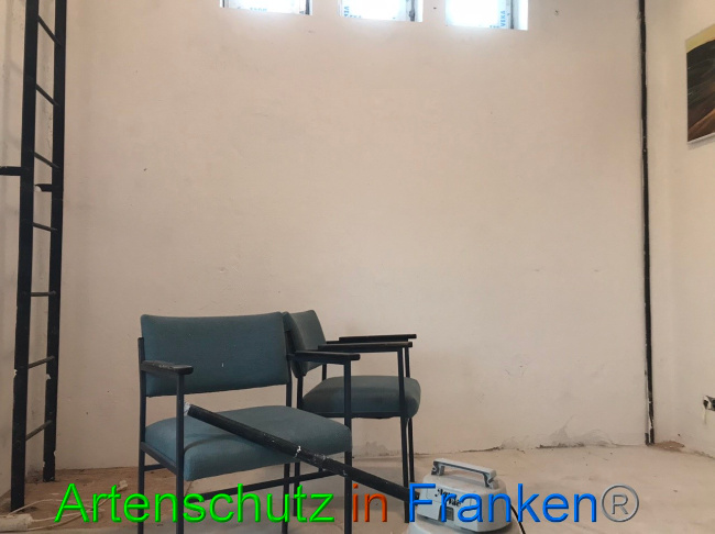 © Artenschutz in Franken® Bild zum Eintrag (1065818-160)
