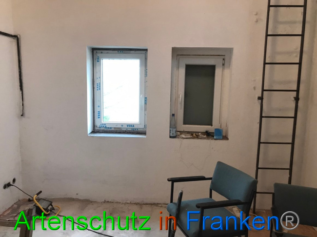 © Artenschutz in Franken® Bild zum Eintrag (1065819-160)