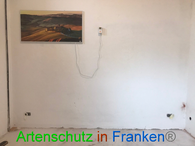© Artenschutz in Franken® Bild zum Eintrag (1065820-160)