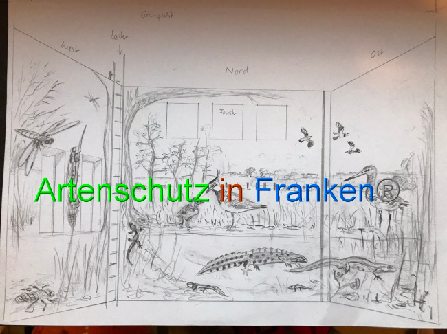 © Artenschutz in Franken® Bild zum Eintrag (1065825-160)