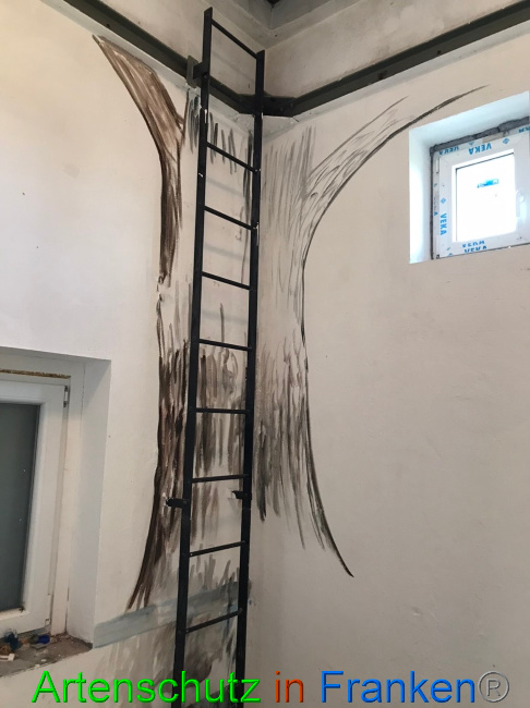© Artenschutz in Franken® Bild zum Eintrag (1065827-160)