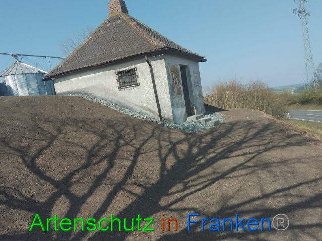 © Artenschutz in Franken® Bild zum Eintrag (1065835-160)