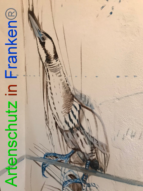 © Artenschutz in Franken® Bild zum Eintrag (1065903-160)