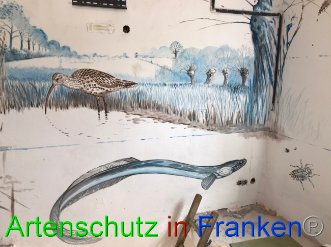 © Artenschutz in Franken® Bild zum Eintrag (1065981-160)