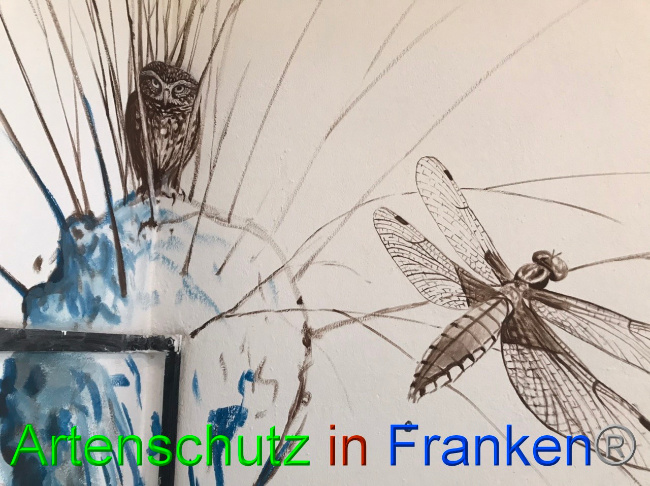 © Artenschutz in Franken® Bild zum Eintrag (1065982-160)
