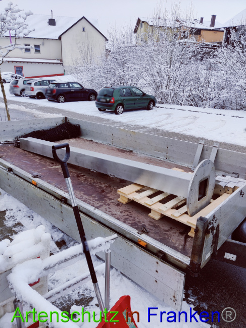 © Artenschutz in Franken® Bild zum Eintrag (1066098-160)