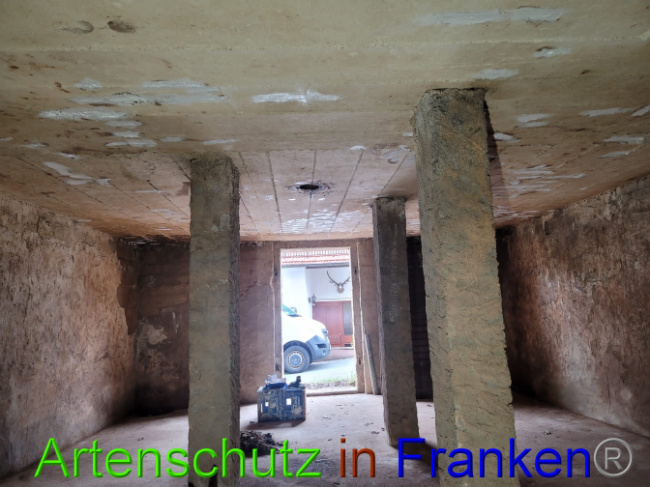 © Artenschutz in Franken® Bild zum Eintrag (1066119-160)