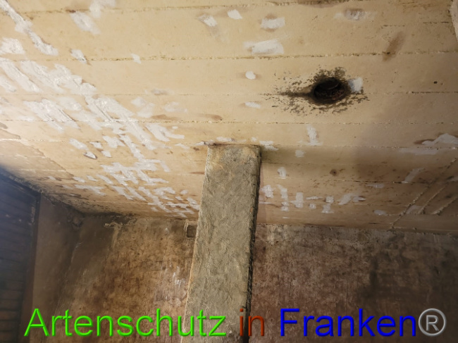 Bild zum Eintrag (1066128-160)