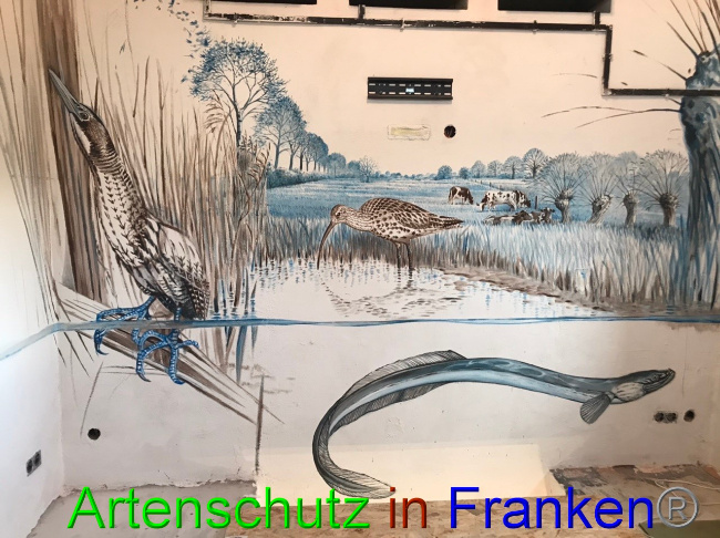 © Artenschutz in Franken® Bild zum Eintrag (1066152-160)