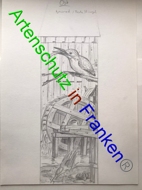 © Artenschutz in Franken® Bild zum Eintrag (1066160-160)