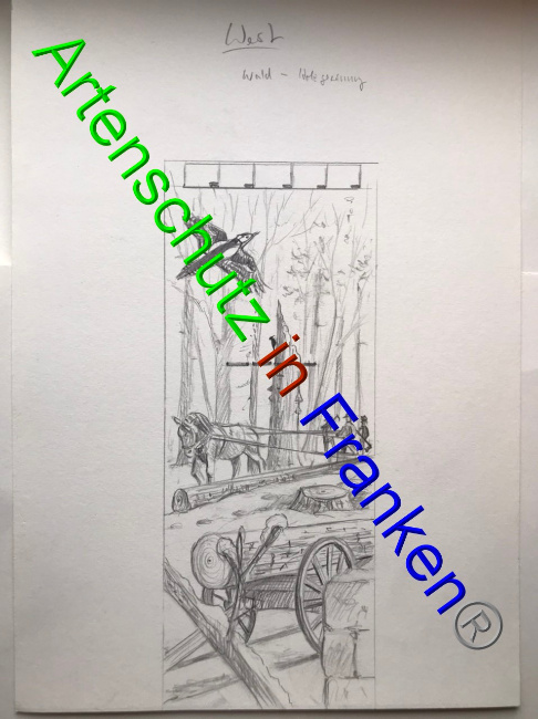 © Artenschutz in Franken® Bild zum Eintrag (1066161-160)