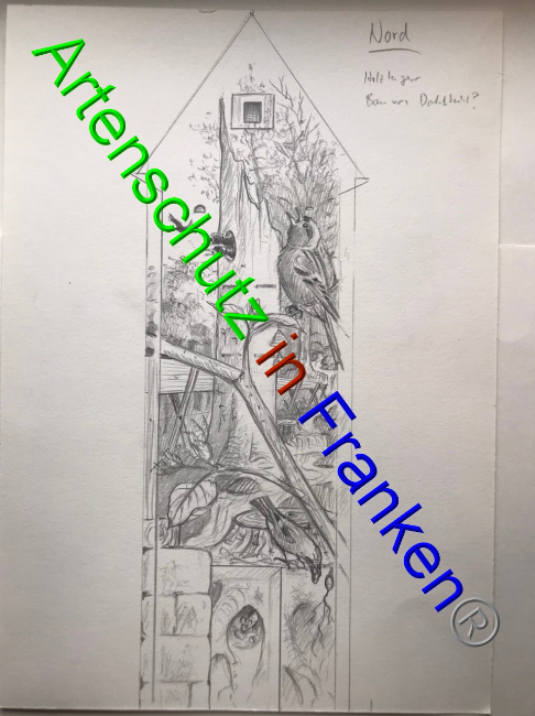 © Artenschutz in Franken® Bild zum Eintrag (1066162-160)