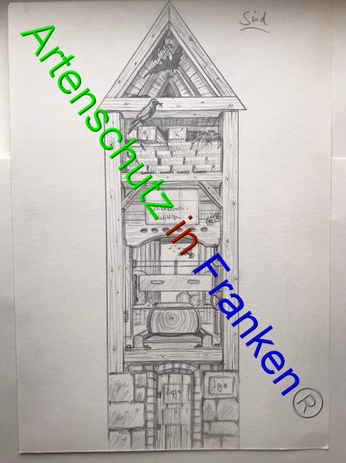 © Artenschutz in Franken® Bild zum Eintrag (1066163-160)