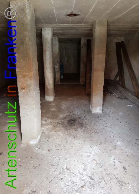 © Artenschutz in Franken® Bild zum Eintrag (1066204-160)