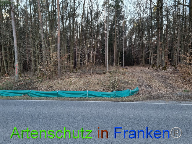 © Artenschutz in Franken® Bild zum Eintrag (1066237-160)