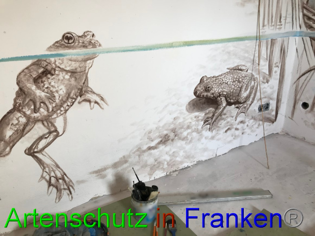 © Artenschutz in Franken® Bild zum Eintrag (1066399-160)