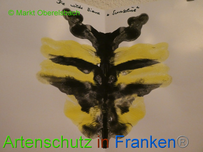 © Artenschutz in Franken® Bild zum Eintrag (1066458-160)