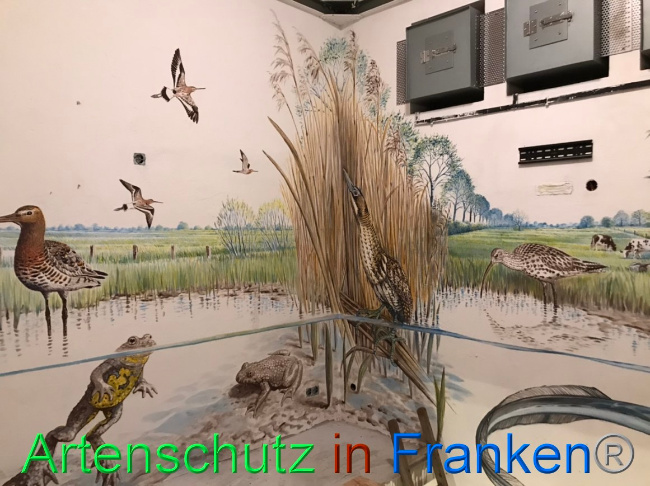 © Artenschutz in Franken® Bild zum Eintrag (1066701-160)