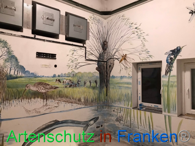 © Artenschutz in Franken® Bild zum Eintrag (1066702-160)