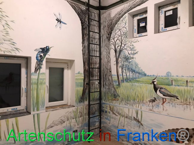 © Artenschutz in Franken® Bild zum Eintrag (1066703-160)