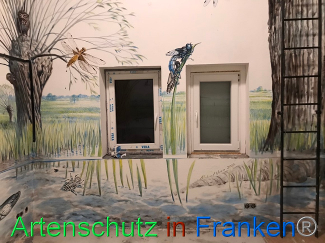 © Artenschutz in Franken® Bild zum Eintrag (1066706-160)