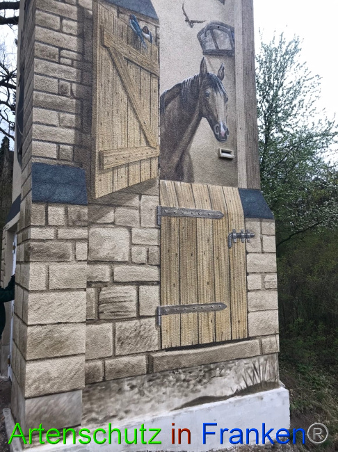 © Artenschutz in Franken® Bild zum Eintrag (1066998-160)