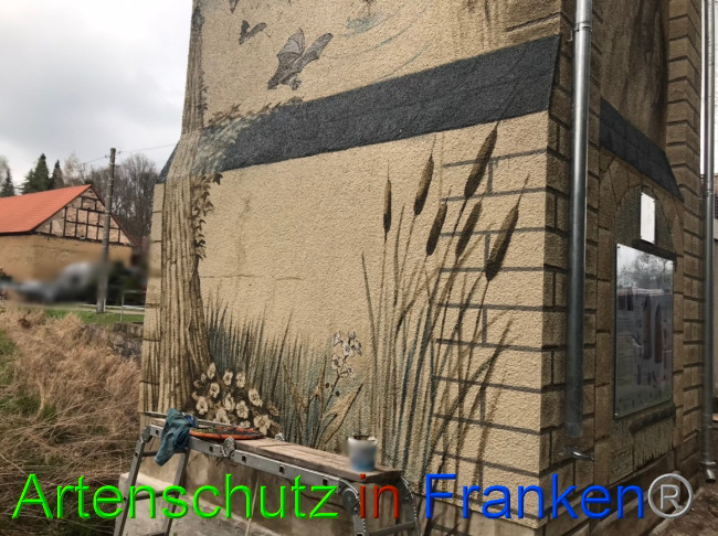 © Artenschutz in Franken® Bild zum Eintrag (1067000-160)