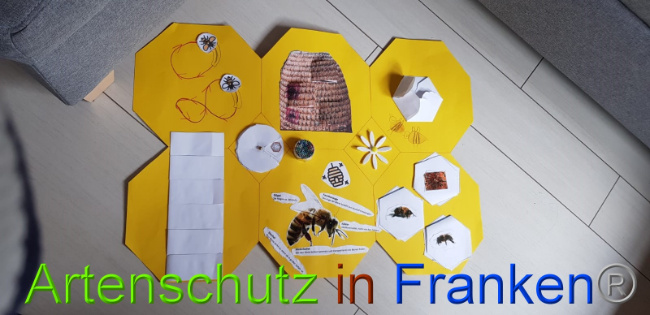 © Artenschutz in Franken® / Lais Bild zum Eintrag (1067080-160)