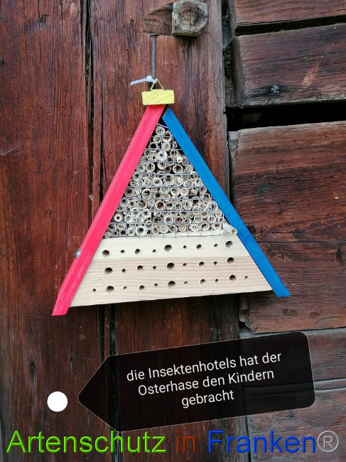 © Artenschutz in Franken® / Lais Bild zum Eintrag (1067081-160)