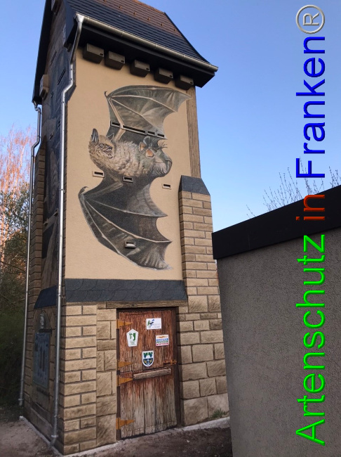 © Artenschutz in Franken® Bild zum Eintrag (1067159-160)