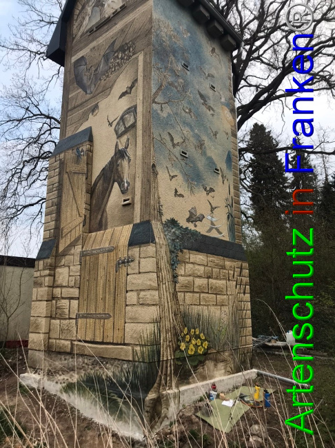 © Artenschutz in Franken® Bild zum Eintrag (1067160-160)