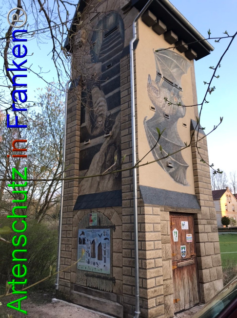 © Artenschutz in Franken® Bild zum Eintrag (1067161-160)