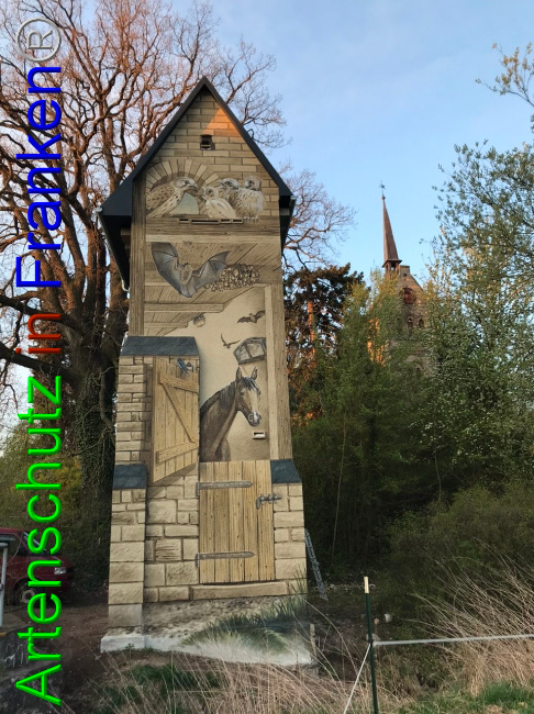 © Artenschutz in Franken® Bild zum Eintrag (1067162-160)